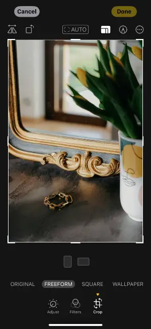 Cropping a photo on iOS Step 3